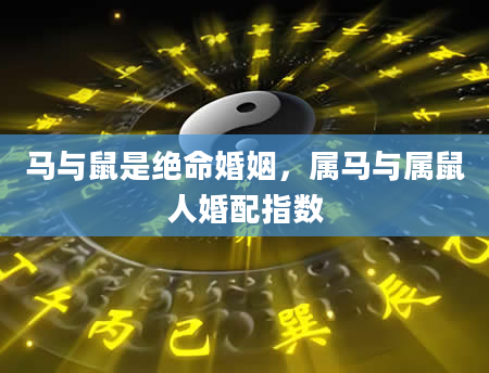 马与鼠是绝命婚姻，属马与属鼠人婚配指数