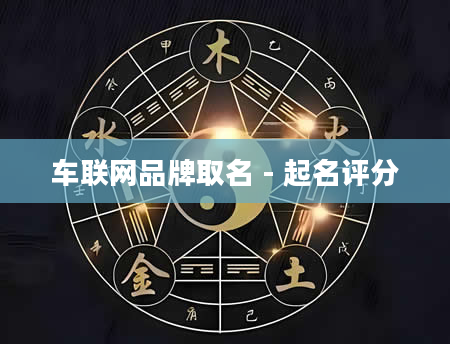 车联网品牌取名 - 起名评分