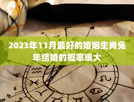 2023年11月最好的婚姻生肖兔年结婚的概率很大