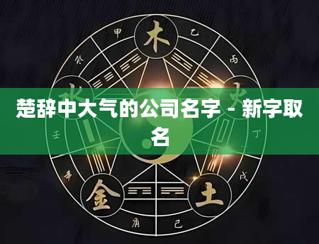 楚辞中大气的公司名字 - 新字取名