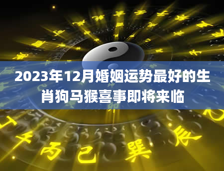 2023年12月婚姻运势最好的生肖狗马猴喜事即将来临