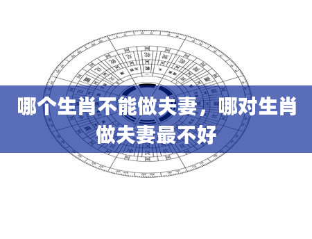 哪个生肖不能做夫妻，哪对生肖做夫妻最不好