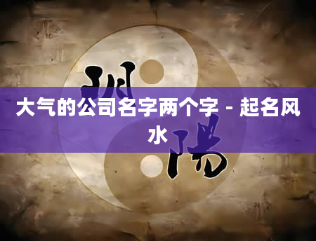 大气的公司名字两个字 - 起名风水