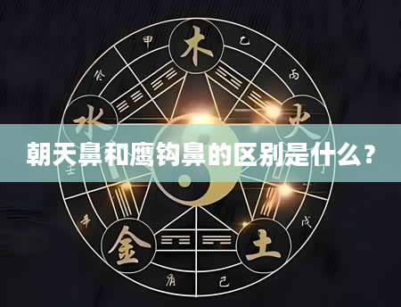 朝天鼻和鹰钩鼻的区别是什么？