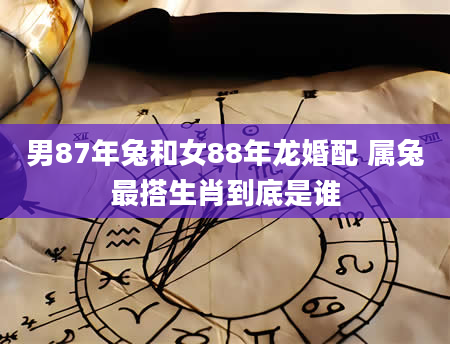 男87年兔和女88年龙婚配 属兔最搭生肖到底是谁