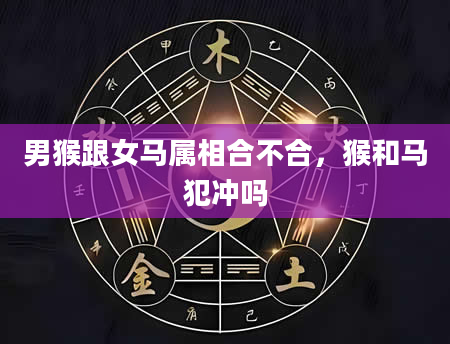 男猴跟女马属相合不合，猴和马犯冲吗