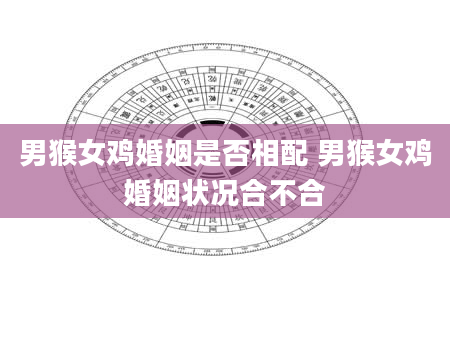 男猴女鸡婚姻是否相配 男猴女鸡婚姻状况合不合