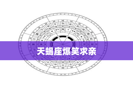 天蝎座爆笑求亲