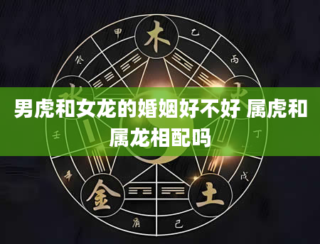 男虎和女龙的婚姻好不好 属虎和属龙相配吗