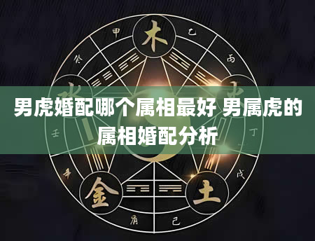 男虎婚配哪个属相最好 男属虎的属相婚配分析
