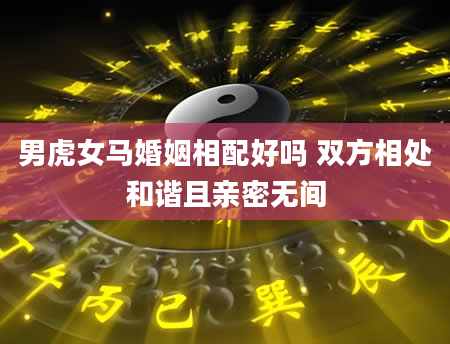 男虎女马婚姻相配好吗 双方相处和谐且亲密无间