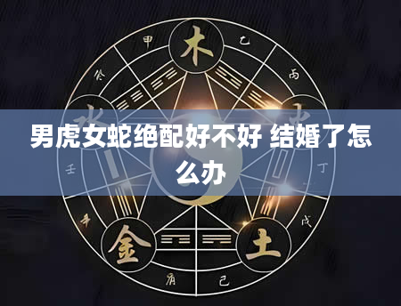 男虎女蛇绝配好不好 结婚了怎么办