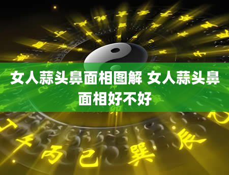 女人蒜头鼻面相图解 女人蒜头鼻面相好不好