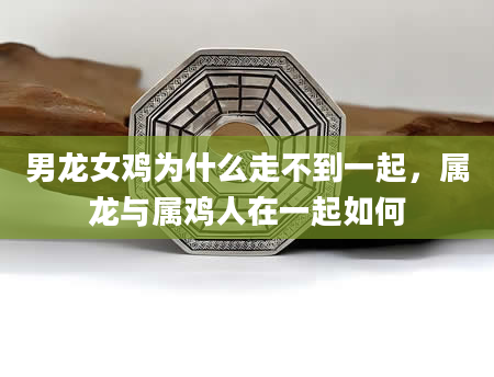 男龙女鸡为什么走不到一起，属龙与属鸡人在一起如何