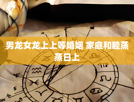 男龙女龙上上等婚姻 家庭和睦蒸蒸日上
