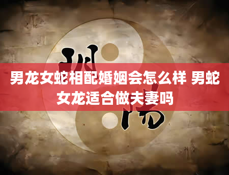 男龙女蛇相配婚姻会怎么样 男蛇女龙适合做夫妻吗