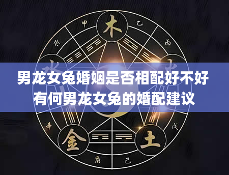 男龙女兔婚姻是否相配好不好 有何男龙女兔的婚配建议