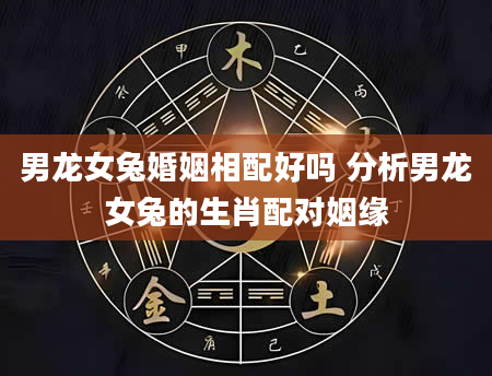 男龙女兔婚姻相配好吗 分析男龙女兔的生肖配对姻缘