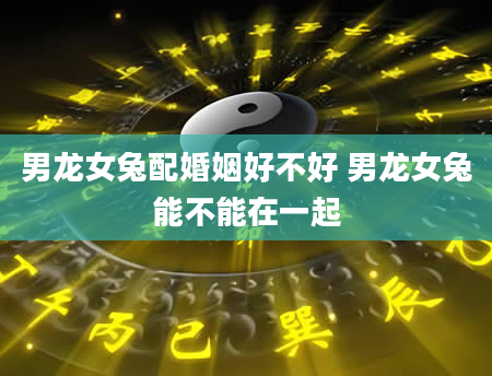 男龙女兔配婚姻好不好 男龙女兔能不能在一起