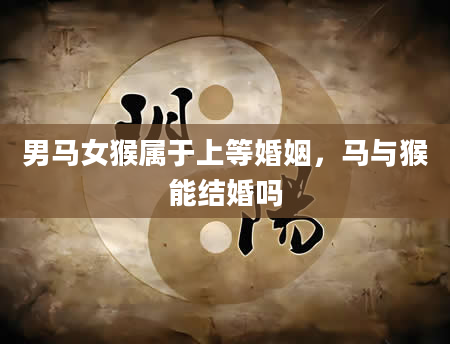 男马女猴属于上等婚姻，马与猴能结婚吗