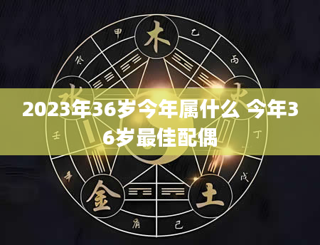 2023年36岁今年属什么 今年36岁最佳配偶