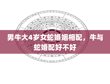 男牛大4岁女蛇婚姻相配，牛与蛇婚配好不好