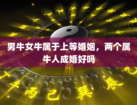 男牛女牛属于上等婚姻，两个属牛人成婚好吗