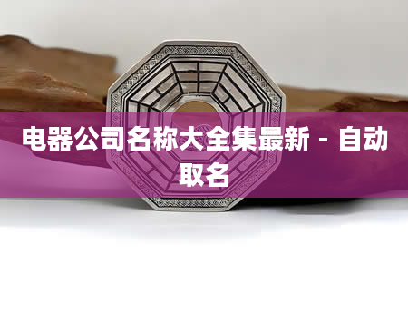电器公司名称大全集最新 - 自动取名