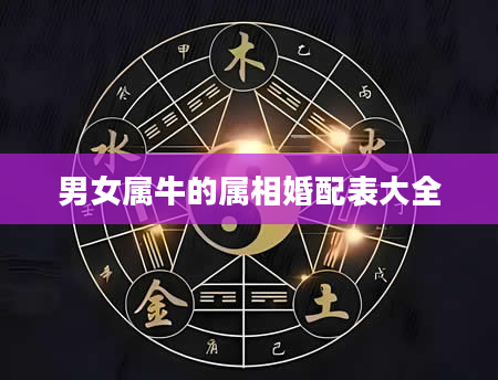 男女属牛的属相婚配表大全