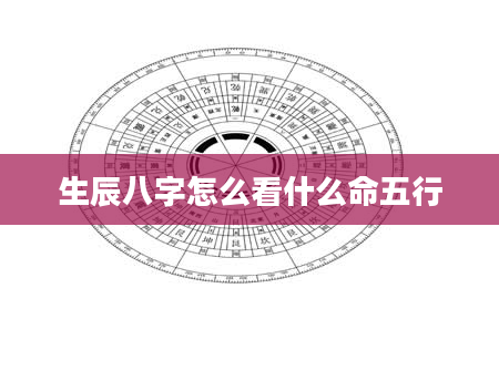生辰八字怎么看什么命五行