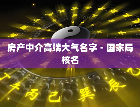 房产中介高端大气名字 - 国家局核名