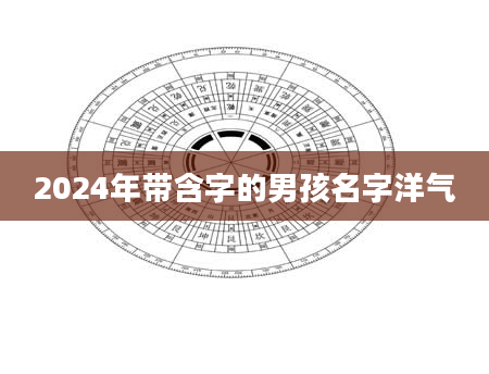2024年带含字的男孩名字洋气