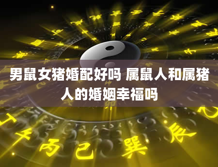 男鼠女猪婚配好吗 属鼠人和属猪人的婚姻幸福吗