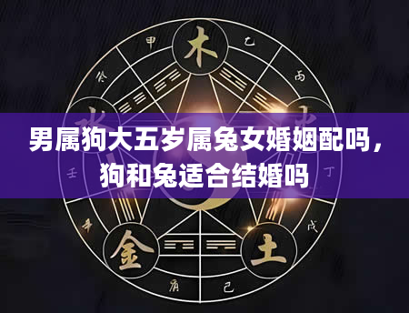 男属狗大五岁属兔女婚姻配吗，狗和兔适合结婚吗