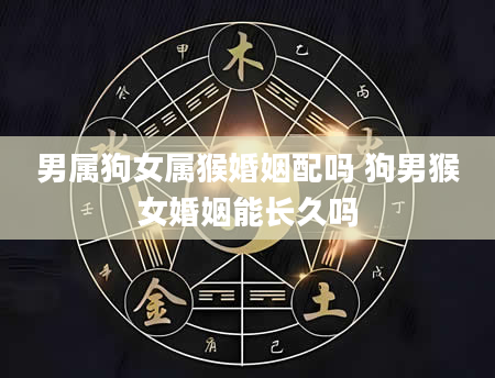 男属狗女属猴婚姻配吗 狗男猴女婚姻能长久吗