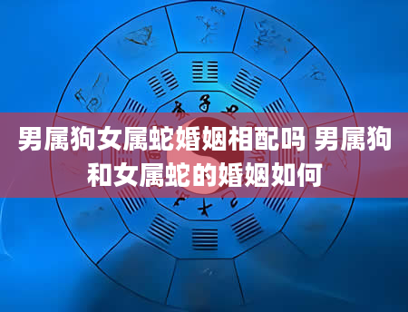 男属狗女属蛇婚姻相配吗 男属狗和女属蛇的婚姻如何