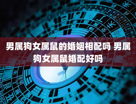 男属狗女属鼠的婚姻相配吗 男属狗女属鼠婚配好吗