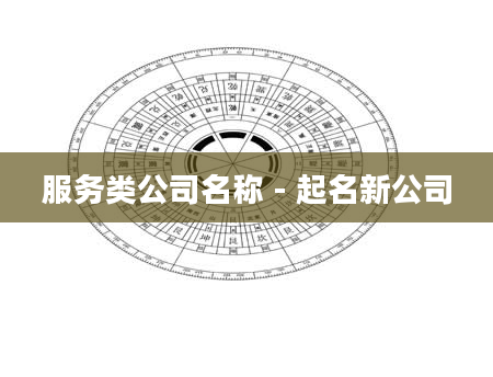 服务类公司名称 - 起名新公司