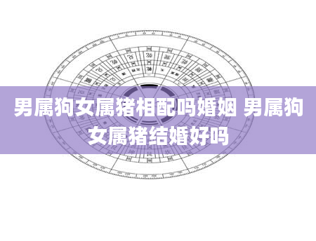 男属狗女属猪相配吗婚姻 男属狗女属猪结婚好吗