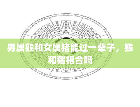 男属猴和女属猪能过一辈子，猴和猪相合吗