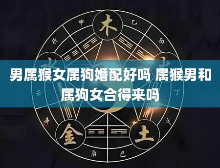 男属猴女属狗婚配好吗 属猴男和属狗女合得来吗