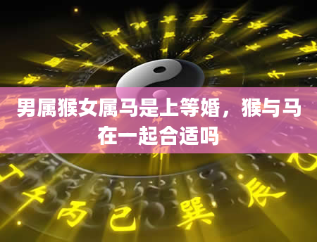 男属猴女属马是上等婚，猴与马在一起合适吗