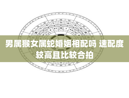 男属猴女属蛇婚姻相配吗 速配度较高且比较合拍
