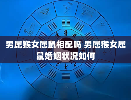 男属猴女属鼠相配吗 男属猴女属鼠婚姻状况如何