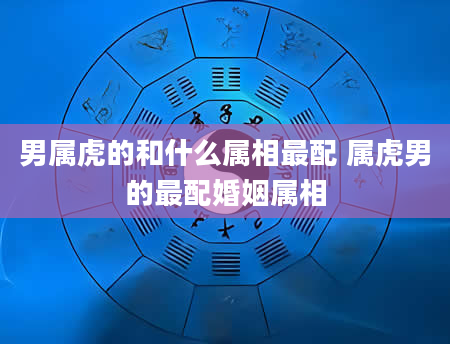 男属虎的和什么属相最配 属虎男的最配婚姻属相