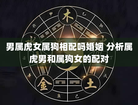 男属虎女属狗相配吗婚姻 分析属虎男和属狗女的配对