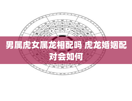 男属虎女属龙相配吗 虎龙婚姻配对会如何