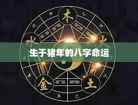 生于猪年的八字命运