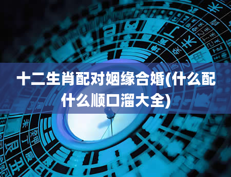 十二生肖配对姻缘合婚(什么配什么顺口溜大全)