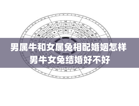 男属牛和女属兔相配婚姻怎样 男牛女兔结婚好不好